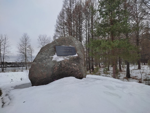 В лесопарке им. Петра Антипова стало чище, красивее и безопаснее