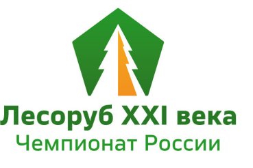 Лесоруб XXI века