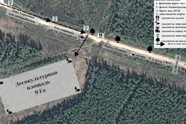 Центральное мероприятие по посадке леса в Ленобласти