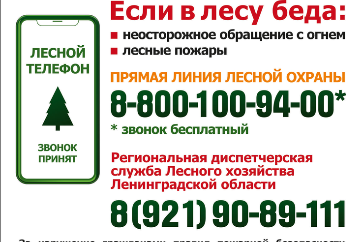 В лесах Ленобласти объявлен режим пожароопасного сезона