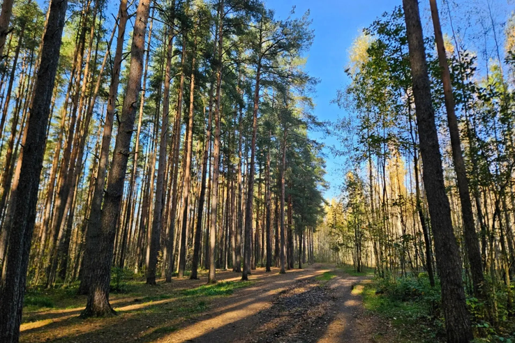 В Ленобласти создана новая ООПТ