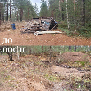 Свалка в лесу