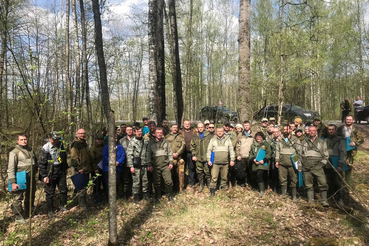 Лесоустройство в Ленинградской области