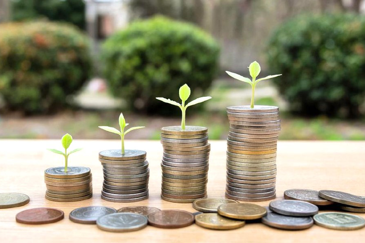 Должники Ленинградской области по арендной плате за пользование лесами