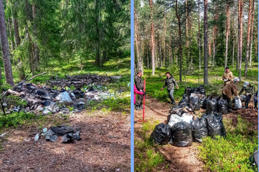 В лесах продолжается уборка мусора