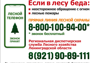 В лесах Ленобласти объявлен режим пожароопасного сезона