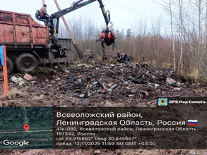 Мусор в лесах