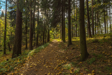С 1 октября снижены тарифы на посещение ООПТ