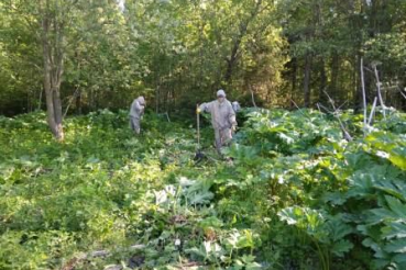 Истребление во благо сохранения биоразнообразия