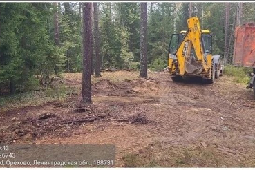 От свалок к зелёным лужайкам: в Ленобласти продолжается борьба с мусором в лесах