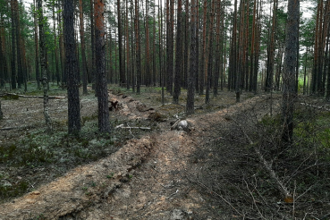 Профилактика пожаров в лесу 