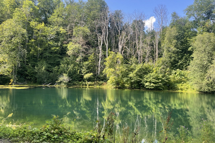 Создана охранная зона для «Радоновых источников и озера у деревни Лопухинка»