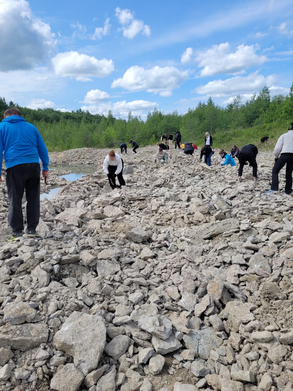 Палеонтологический парк Путилово раскрывает тайны древних эр на Земле