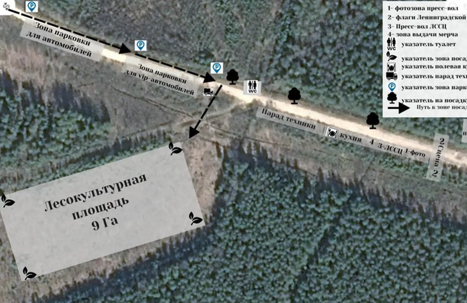 Центральное мероприятие по посадке леса в Ленобласти