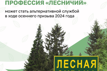 Профессия «лесничий» может стать альтернативной службой в ходе осеннего призыва 2024 год