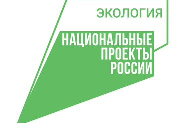 Показатели национального проекта «Экология» по охране лесов от пожаров выполнены