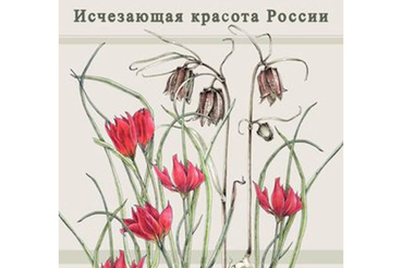 Всероссийский конкурс «Исчезающая красота России»