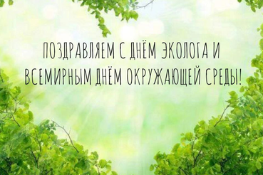 5 июня отмечаем День эколога!