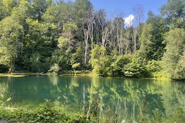 Создана охранная зона для «Радоновых источников и озера у деревни Лопухинка»