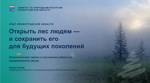 Ленинградская область и Беларусь расширяют сотрудничество в сохранении лесов и развитии экотуризма
