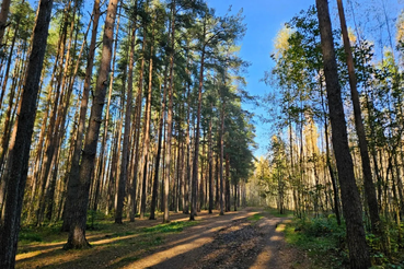 В Ленобласти создана новая ООПТ