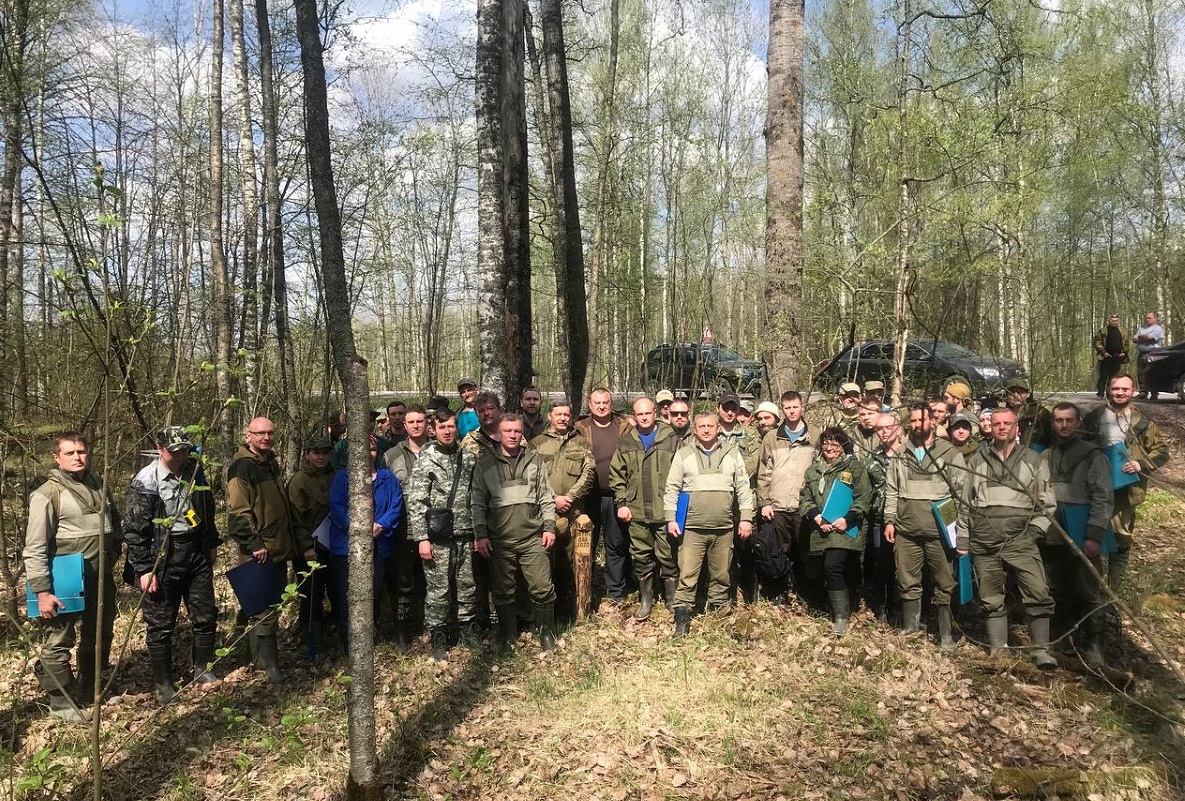 Логку ленобллес. Тихвинское лесничество. Филиалы ленобллес. Управление лесами тамбов. Логку ленобллес.