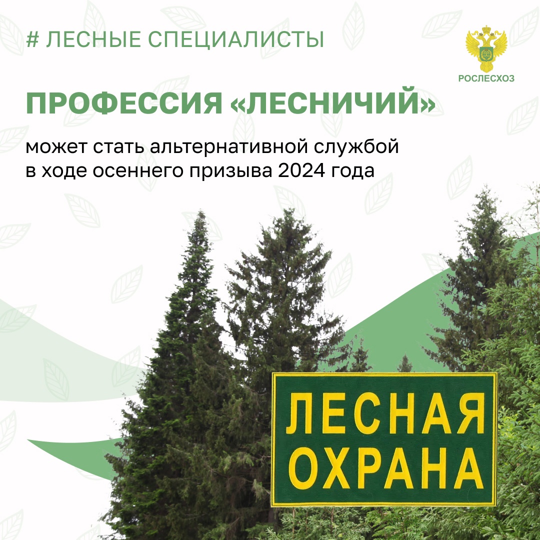 Профессия «лесничий» может стать альтернативной службой в ходе осеннего  призыва 2024 год