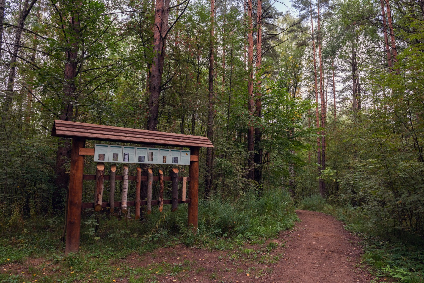 Фотоархив - Комитет по природным ресурсам Ленинградской области